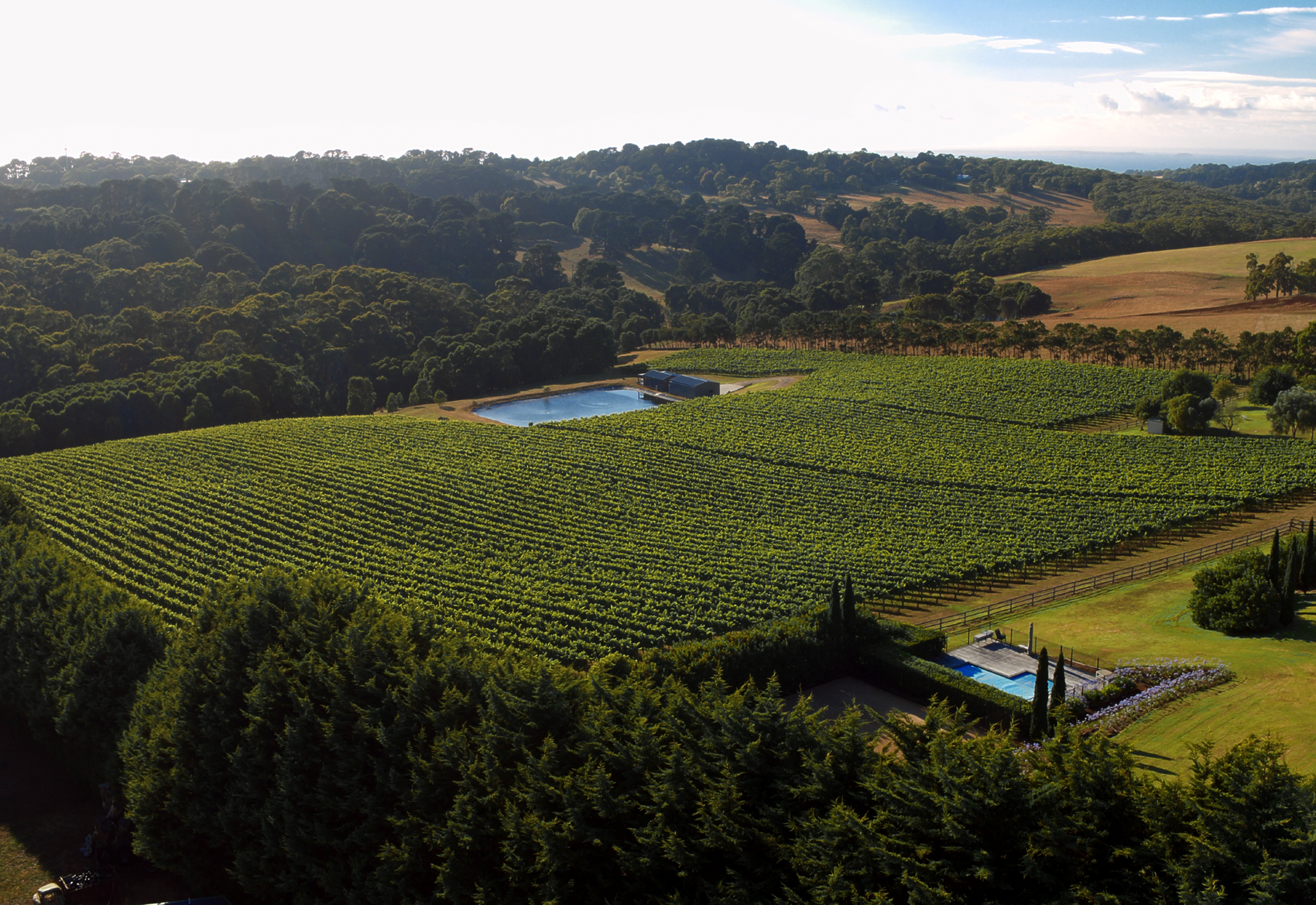 Ghostgum Vineyard, Main Ridge, Mornington Peninsula